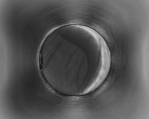 X0000094940854200712271611
