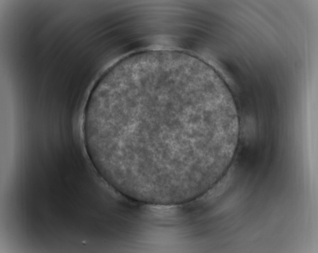 X0000094940856200712271611