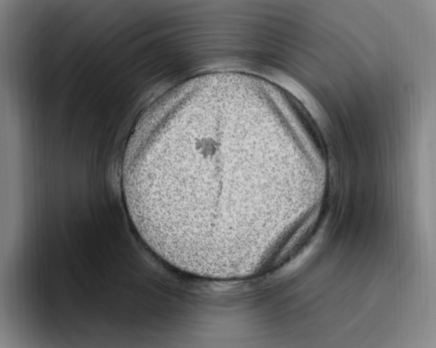 X0000094940857200712271611