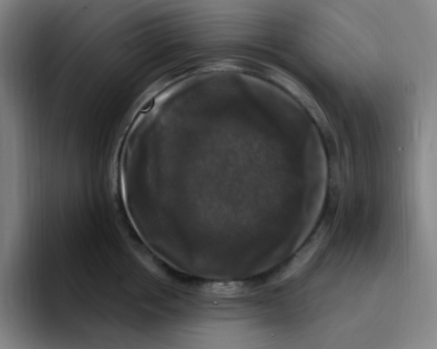 X0000094940858200712271611
