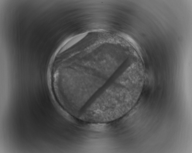 X0000094940859200712271611