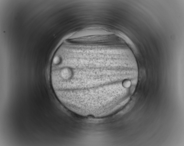 X0000094940860200712271611