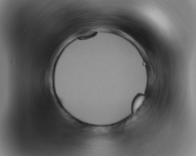 X0000094940861200712271611