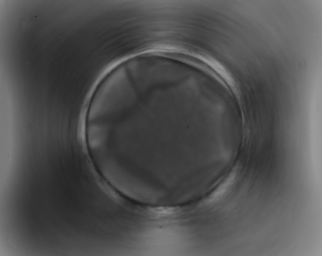 X0000094940862200712271611