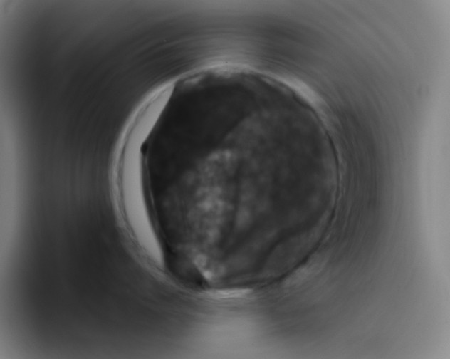 X0000094940864200712271611