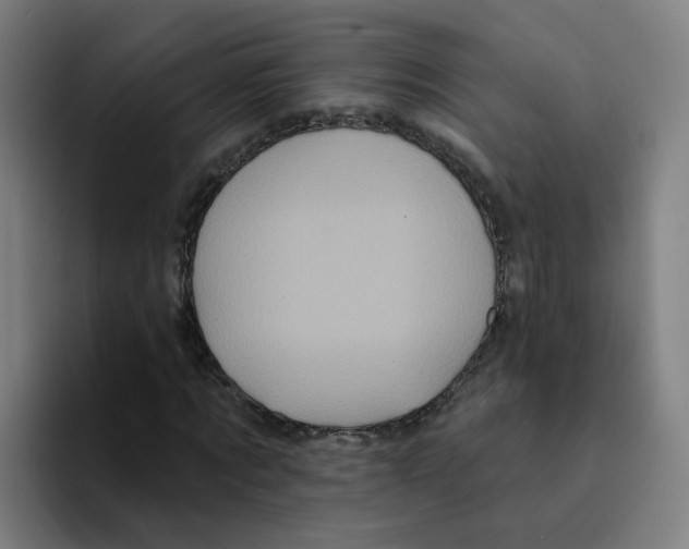 X0000094940869200712271611