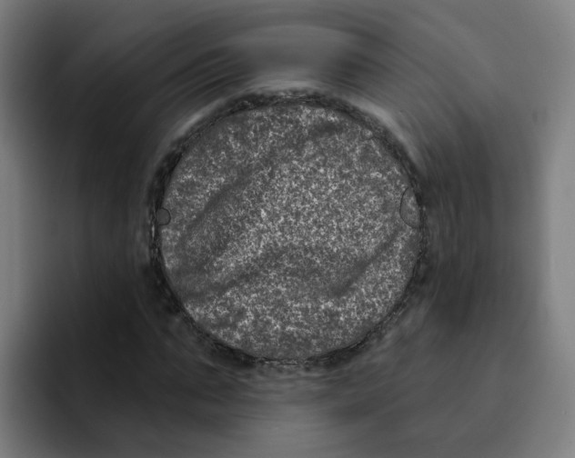X0000094940871200712271611