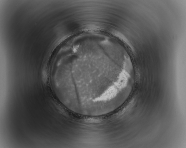X0000094940874200712271611