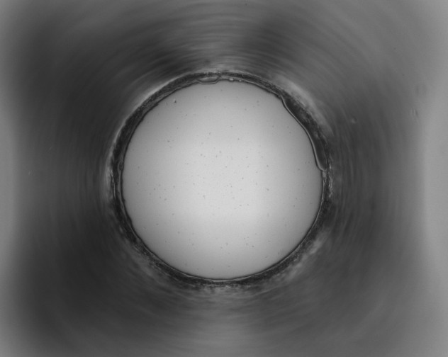 X0000094940876200712271611