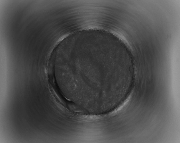 X0000094940881200712271610
