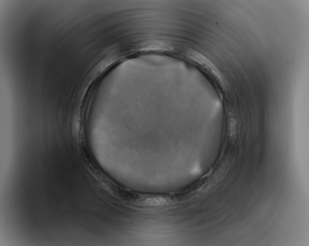X0000094940882200712271610
