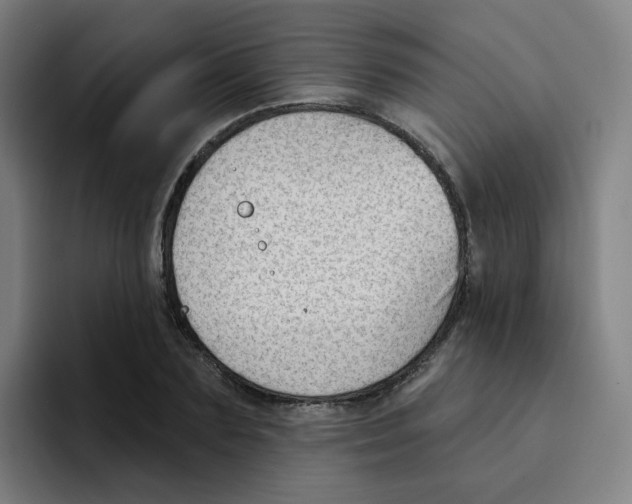X0000094940883200712271610