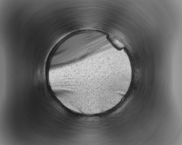 X0000094940884200712271610