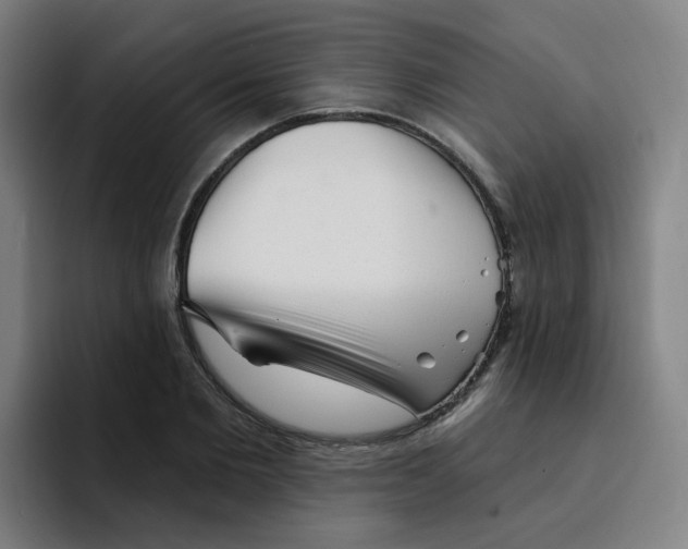 X0000094940885200712271610