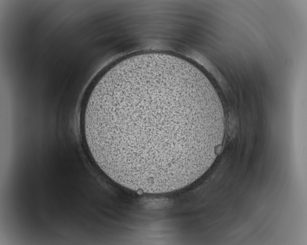 X0000094940886200712271610
