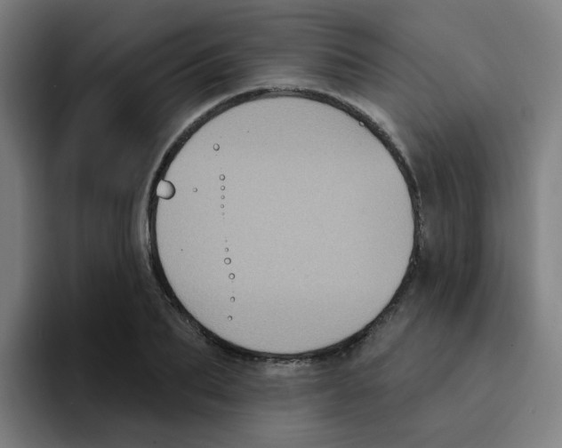 X0000094940887200712271610