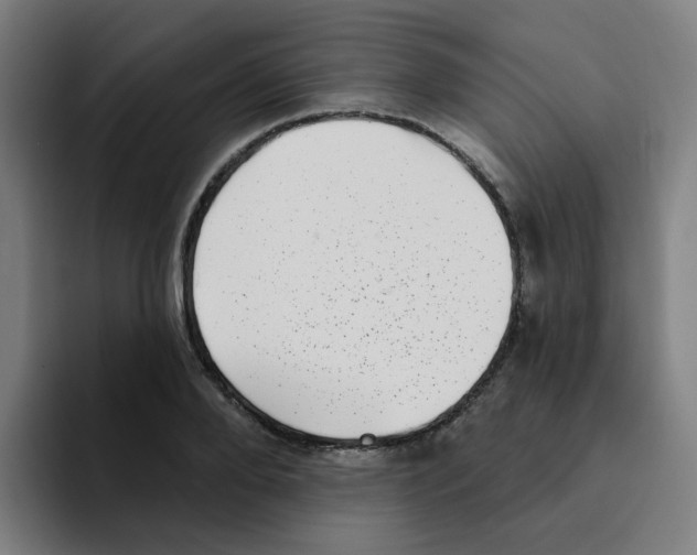 X0000094940888200712271610