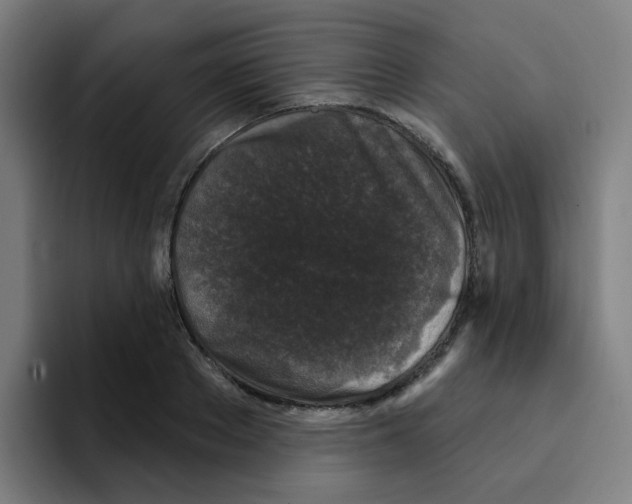 X0000094940889200712271610