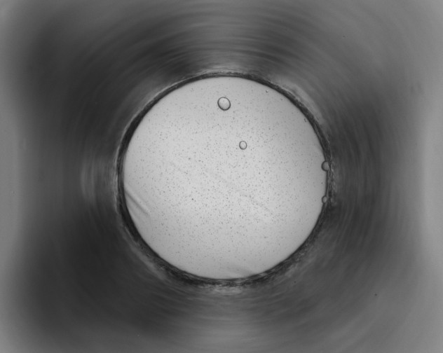 X0000094940890200712271610
