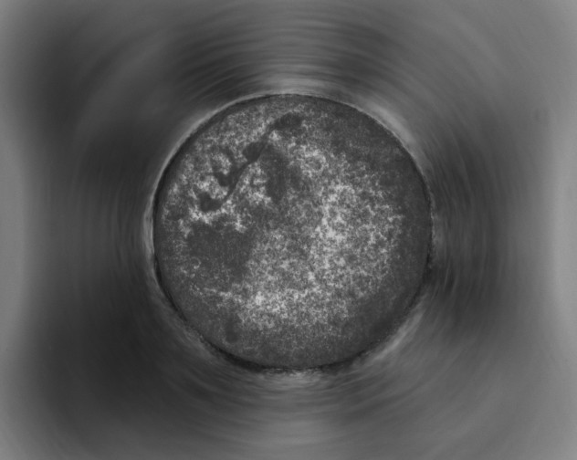 X0000094940891200712271610