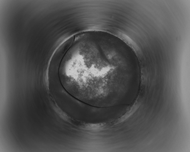 X0000094940892200712271610