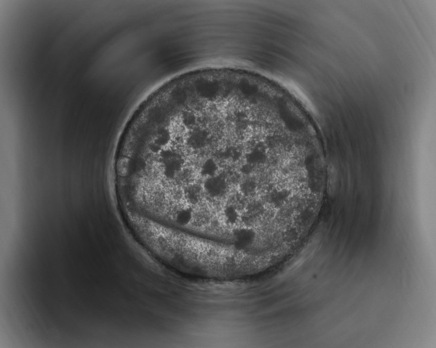 X0000094940895200712271610