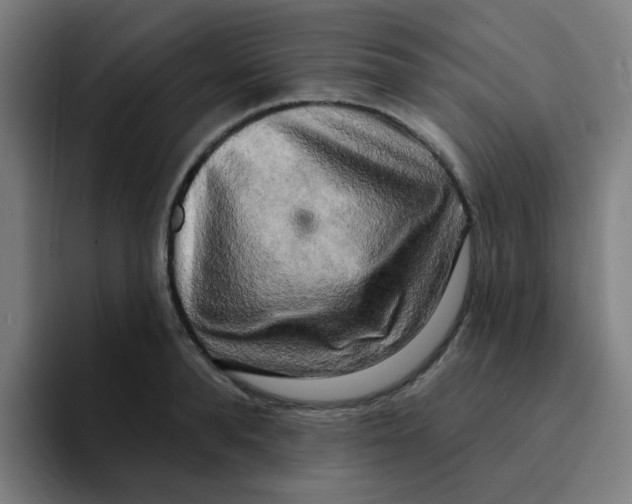 X0000094940896200712271610