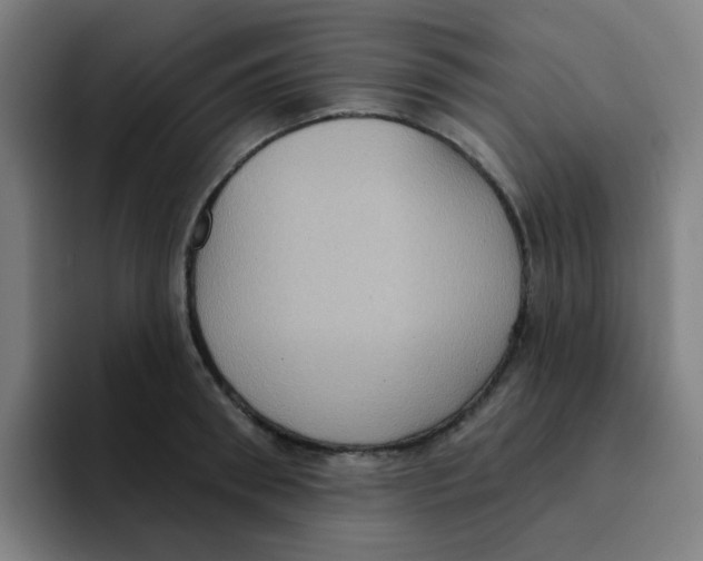 X0000094940898200712271610