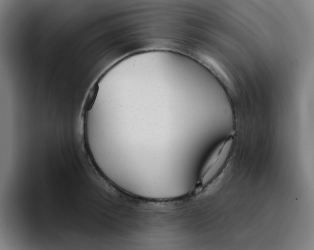 X0000094940900200712271610