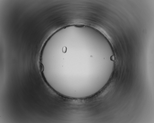 X0000094940901200712271610