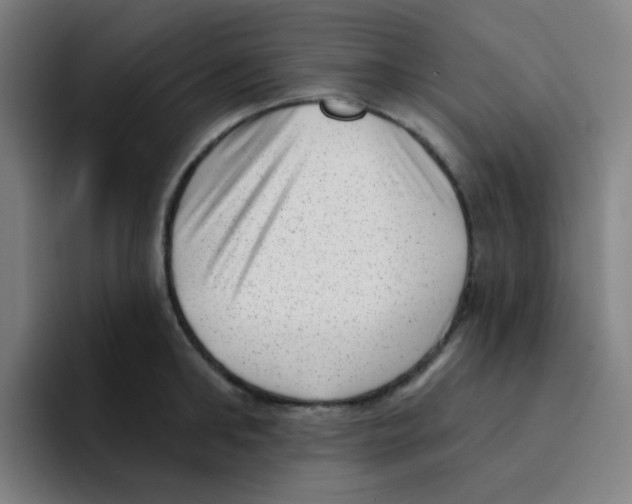 X0000094940902200712271610