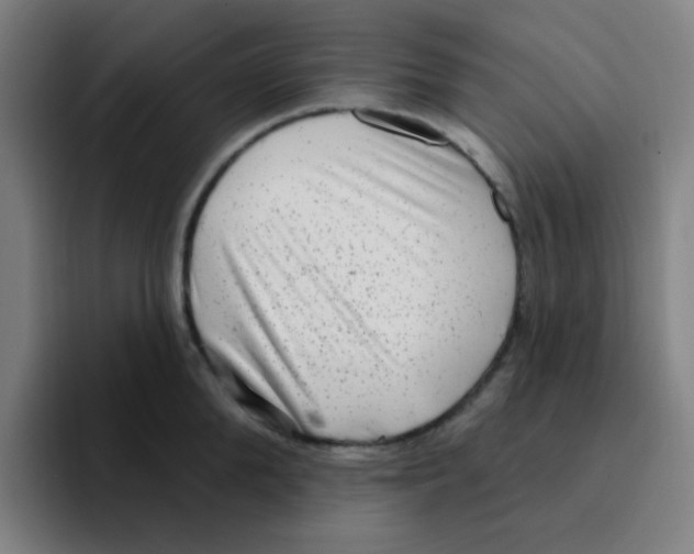 X0000094940904200712271610