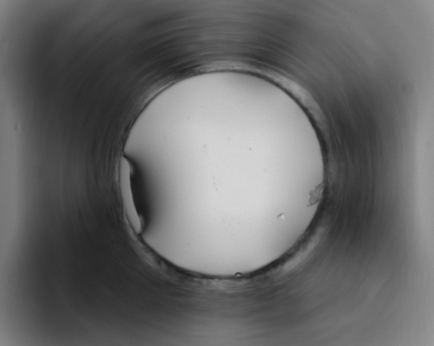 X0000094940905200712271610