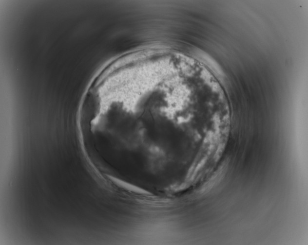 X0000094940907200712271610