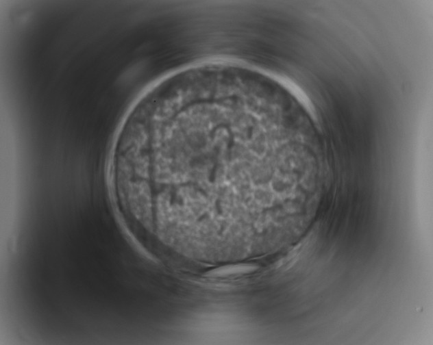 X0000094940911200712271610