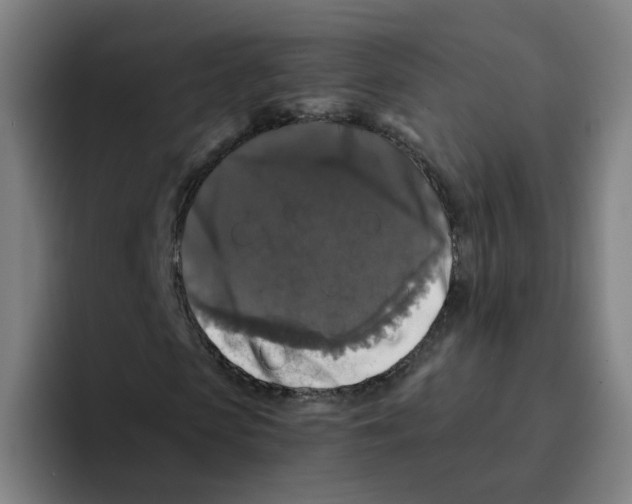 X0000094940913200712271609