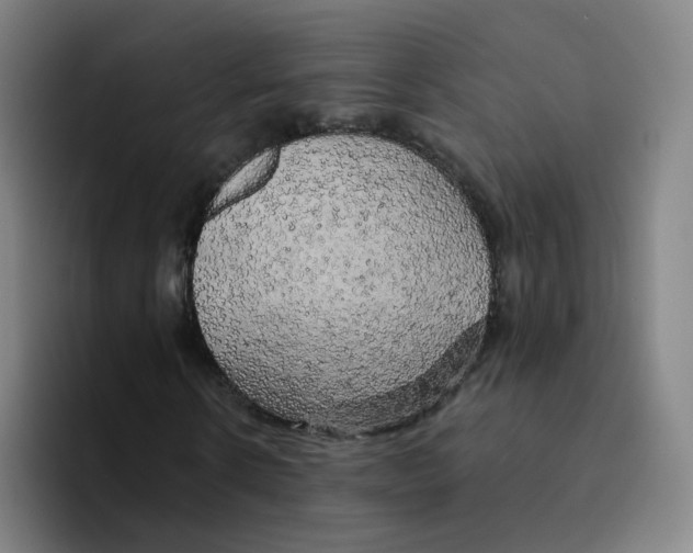 X0000094940914200712271609