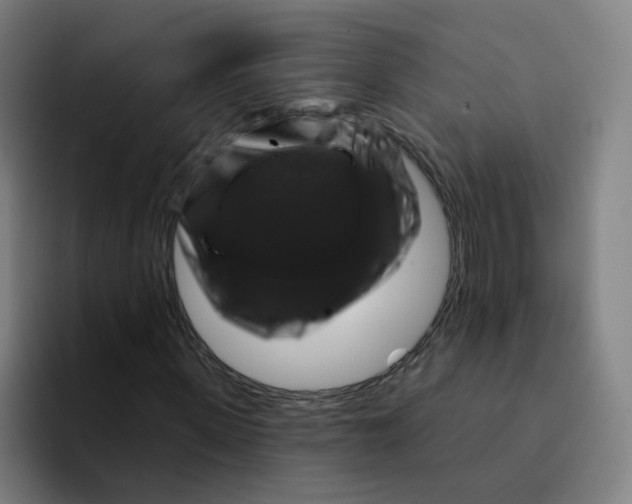 X0000094940915200712271609