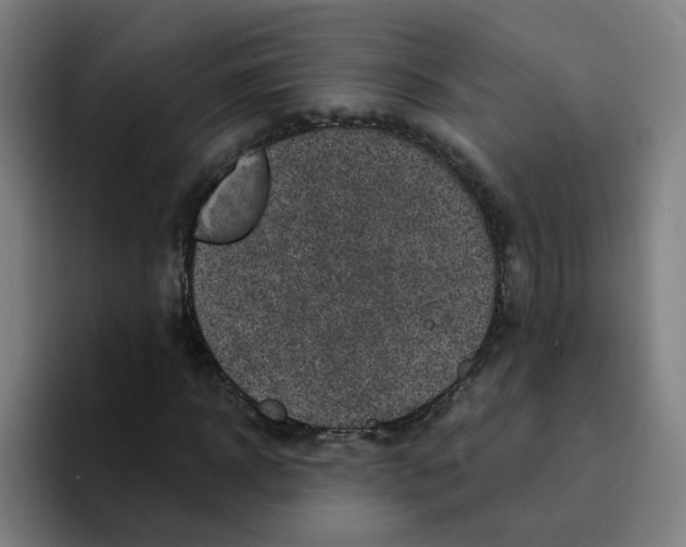 X0000094940918200712271609