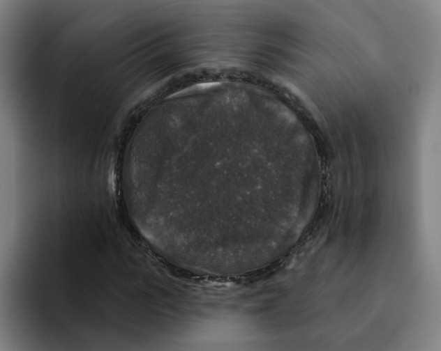 X0000094940919200712271609