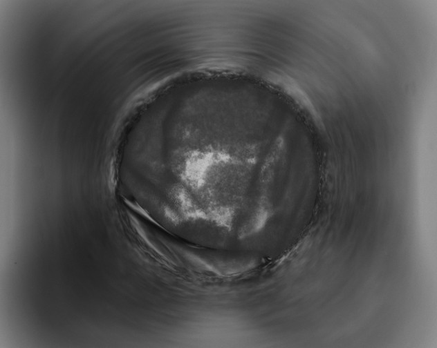 X0000094940920200712271610