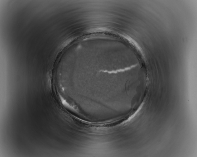 X0000094940921200712271610