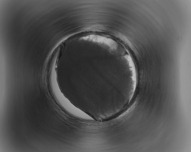 X0000094940923200712271610