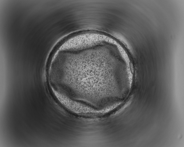 X0000094940924200712271610