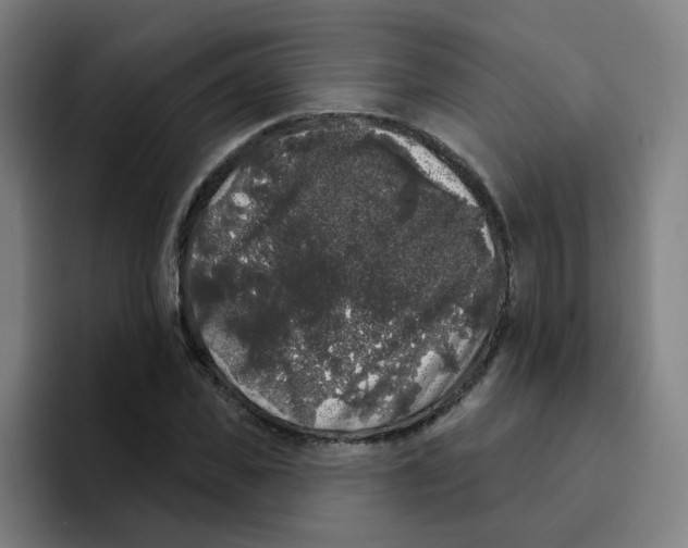 X0000094940925200712271610