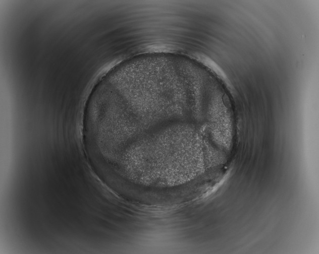 X0000094940930200712271610