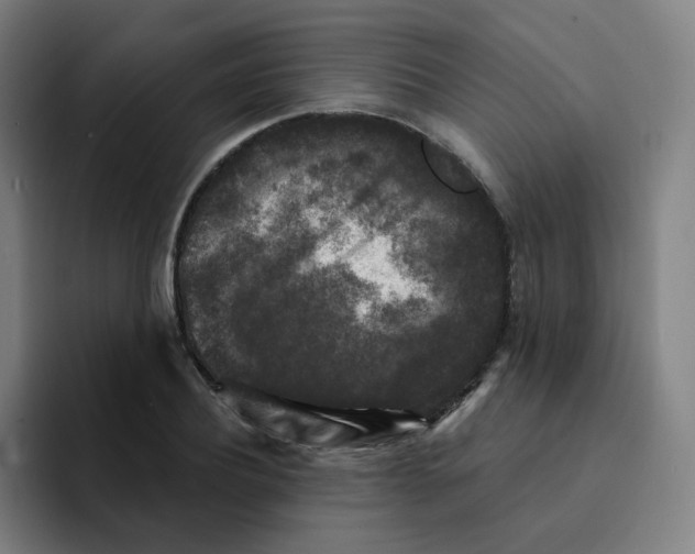 X0000094940932200712271610