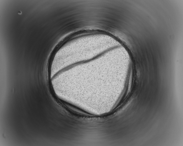 X0000094940934200712271610