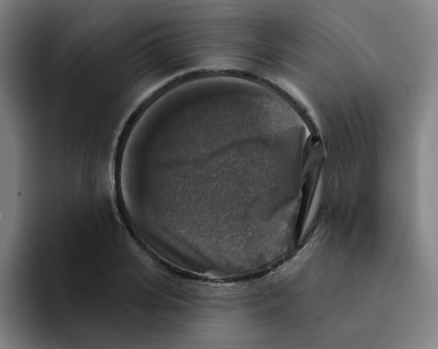 X0000094940935200712271610