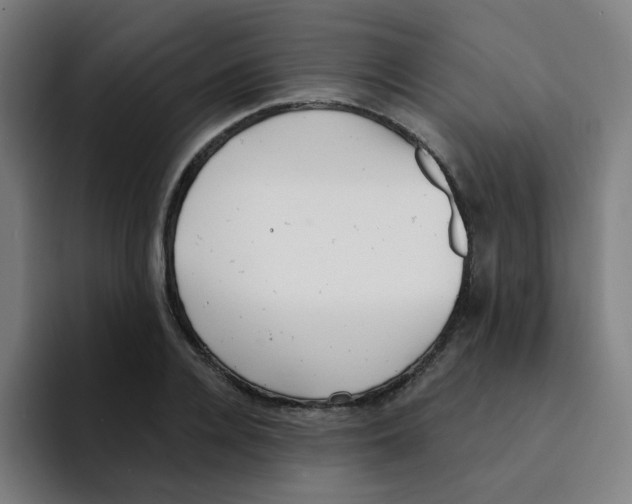 X0000094940936200712271610